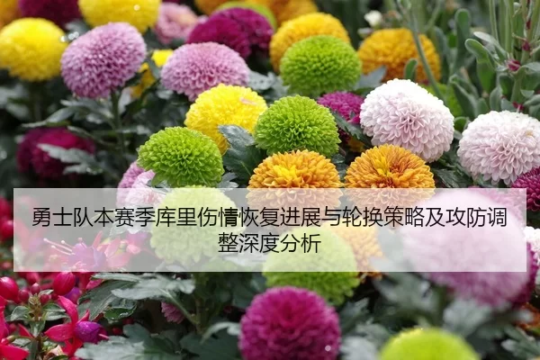 yong-shi-dui-ben-sai-ji-ku-li-shang-qing-hui-fu-jin-zhan-yu-lun-huan-ce-lve-ji-gong-fang-tiao-zheng-shen-du-fen-xi-2-720.jpg