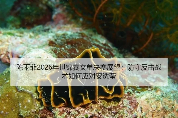 chen-yu-fei-nian-shi-jin-sai-nv-dan-jue-sai-zhan-wang-fang-shou-fan-ji-zhan-shu-ru-he-ying-dui-an-xi-ying-3-488.jpg